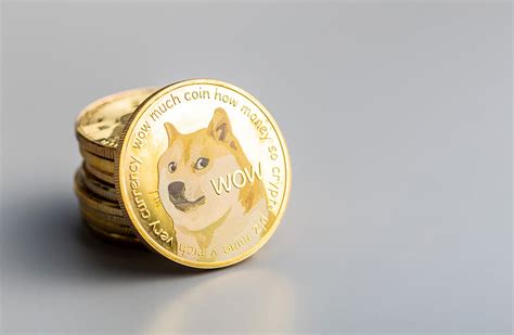dogecoin betting|doge casino offers.